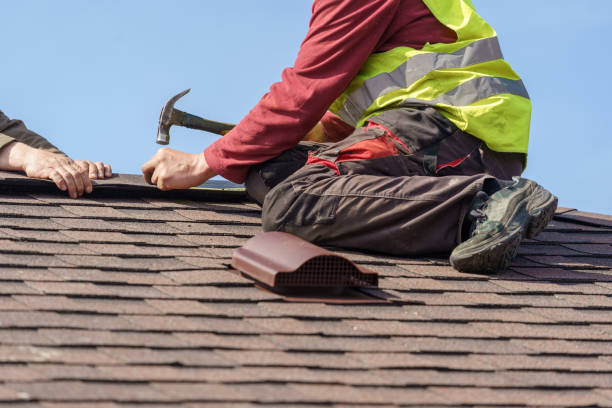 Best Shingle Roofing Installation  in Lake Orion, MI