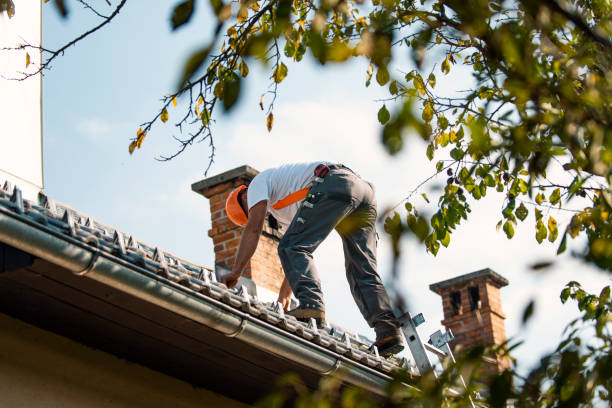 Best Roof Replacement Cost  in Lake Orion, MI