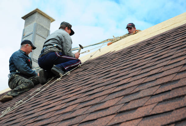 Best Commercial Roofing Services  in Lake Orion, MI